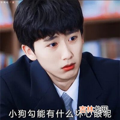 小狗勾能有什么坏心眼呢表情包大全