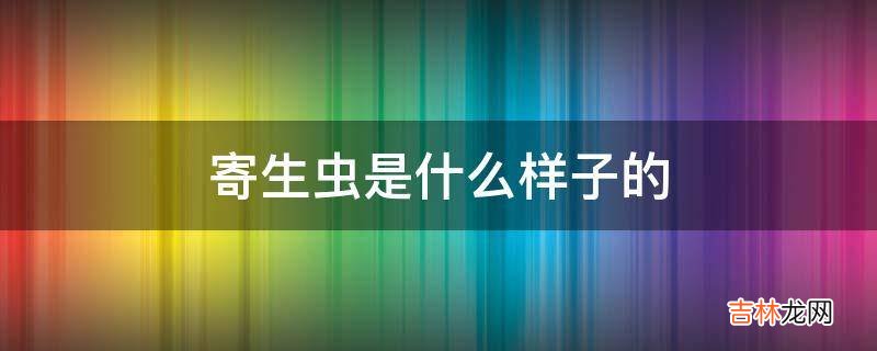 寄生虫是什么样子的?