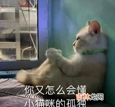 抖音看完年度账单后的我图片大全