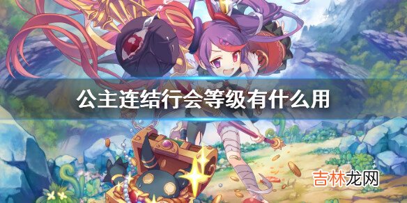 公主连结行会等级有什么用