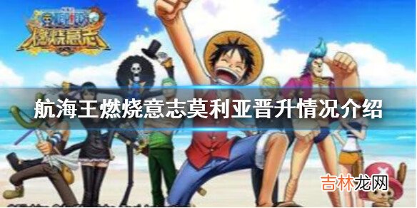 航海王燃烧意志莫利亚晋升怎么样