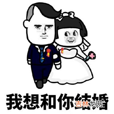 过年有想结婚的请联系我表情包大全