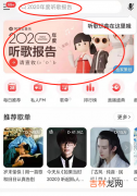 网易云2020年度听歌报告