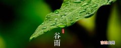 谷雨说说?