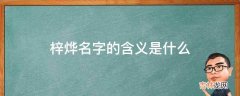 梓烨名字的含义是什么?