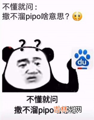 抖音撒不溜pipo什么梗