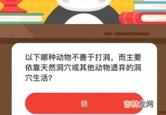 微博森林驿站12月24日森林小课堂答案