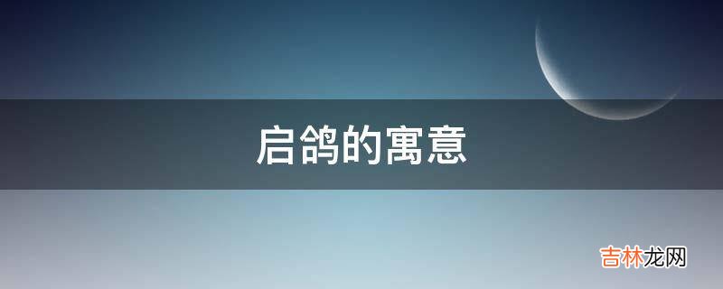 启鸽的寓意是什么？