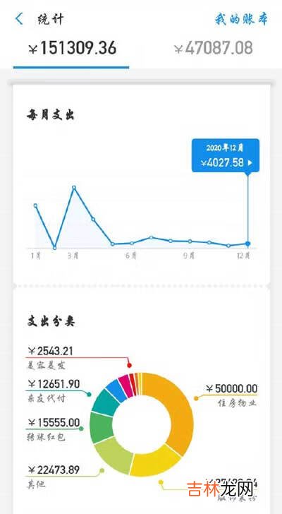 支付宝年度账单大额图片