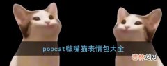 popcat啵嘴猫表情包大全