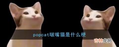 popcat啵嘴猫是什么梗