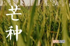 2023年芒种是哪一天,2023年芒种是几月几号几点几分