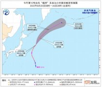 第10号台风蝎虎最新消息2022 台风蝎虎近中心最大风力13级