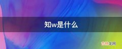 知w是什么?