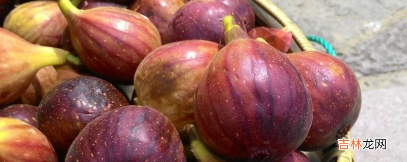 无花果放冰箱还是常温?