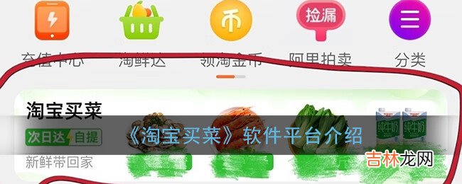 淘宝买菜软件平台介绍
