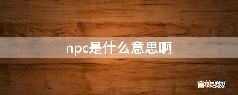 npc是什么意思啊?