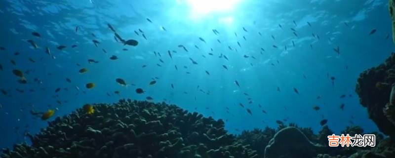 科学家测量海洋平均深度是多少米?