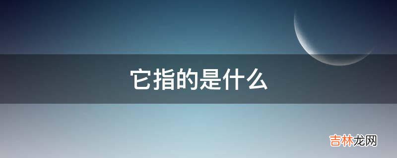 它指的是什么?