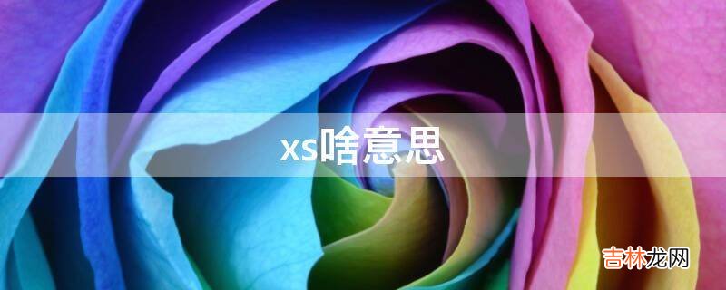 xs啥意思?