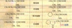 非必需氨基酸有几种?