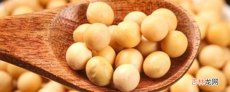 大豆是黄豆吗?