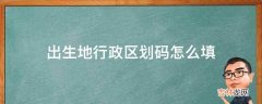 出生地行政区划码怎么填?