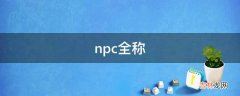 npc全称?