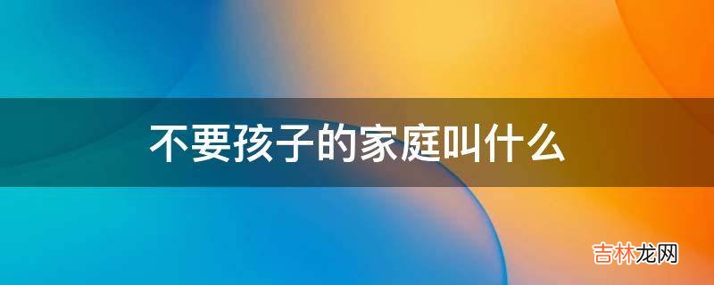 不要孩子的家庭叫什么?