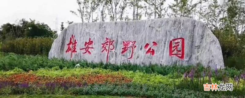 雄安郊野公园能驾车进园吗?