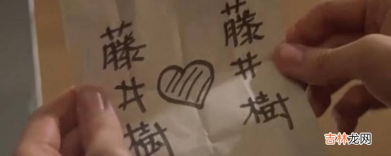 藤井树是什么意思?