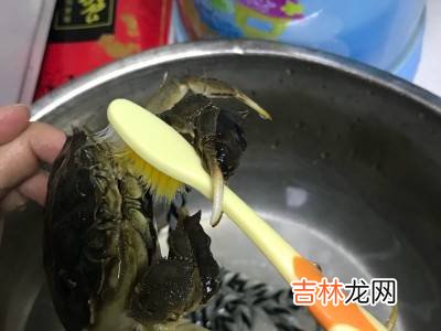 青蟹怎么清洗处理?