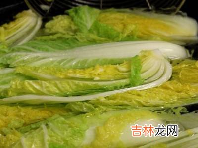 圆叶饺子的包法?