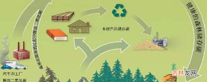 林业碳汇项目是什么意思?