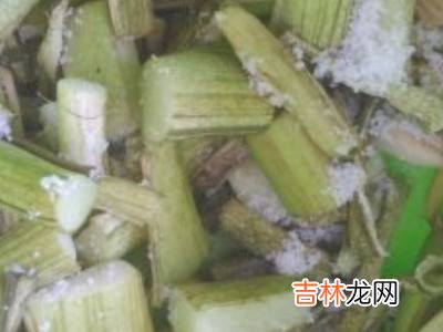 酸芋苗的腌制方法?