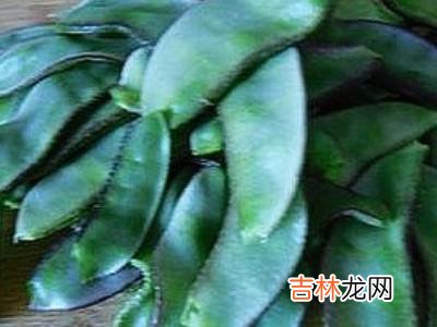 扁豆怎么腌制咸菜?