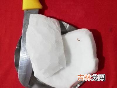 椰子肉怎么打成椰奶?