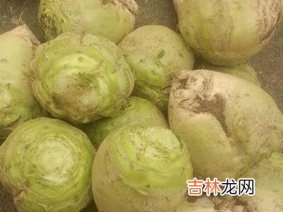 辣菜疙瘩怎样腌制?