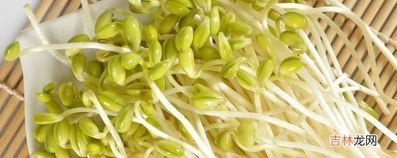 绿豆芽的变化过程?