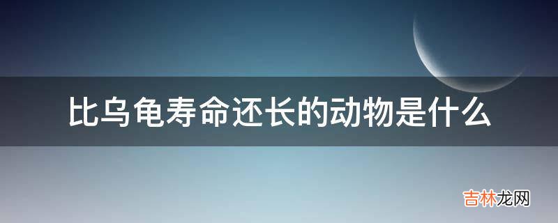 比乌龟寿命还长的动物是什么?