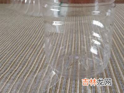 喂鸟器的制作方法?