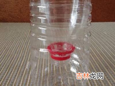 喂鸟器的制作方法?