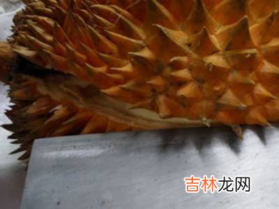 猫山王怎么开壳?