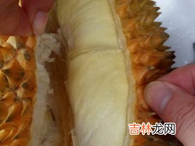 猫山王怎么开壳?