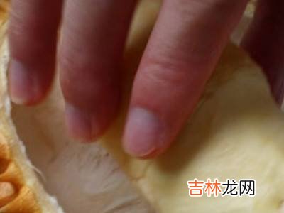 猫山王怎么开壳?