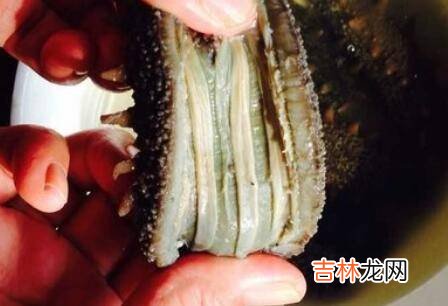 在家发海参方便方法?