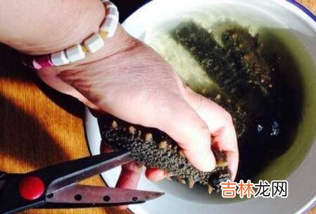 在家发海参方便方法?