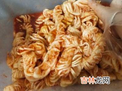 拉花萝卜怎么腌?