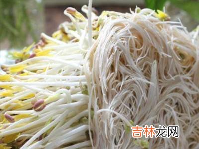 绿豆芽的制作方法与过程?