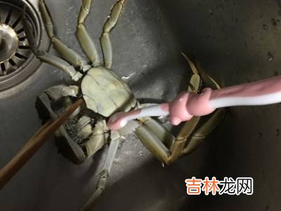 大闸蟹怎么处理才干净?